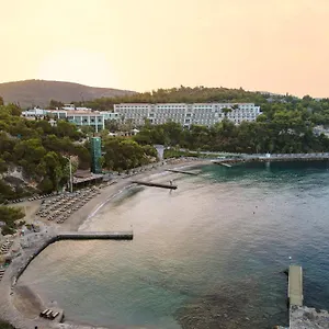 5* Resort Pine Bay